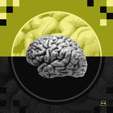 THE ENGINE - BRAIN